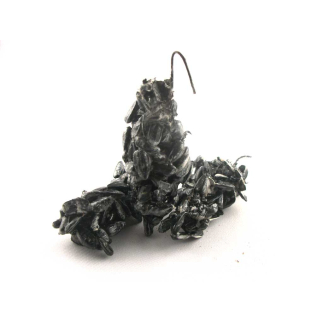 Grappolo di Cozze