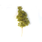 Albero cm 9-13
