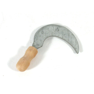 Falcetto
